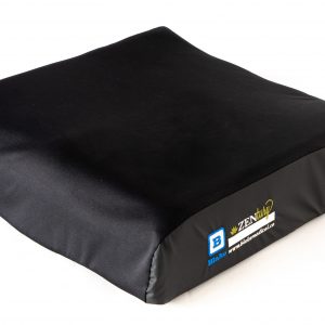 Zentury cushion in cover