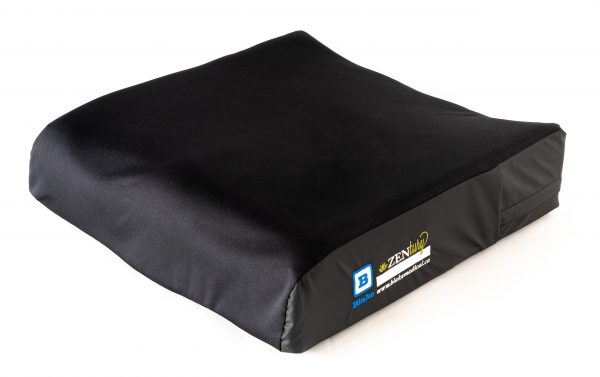 Zentury cushion in cover
